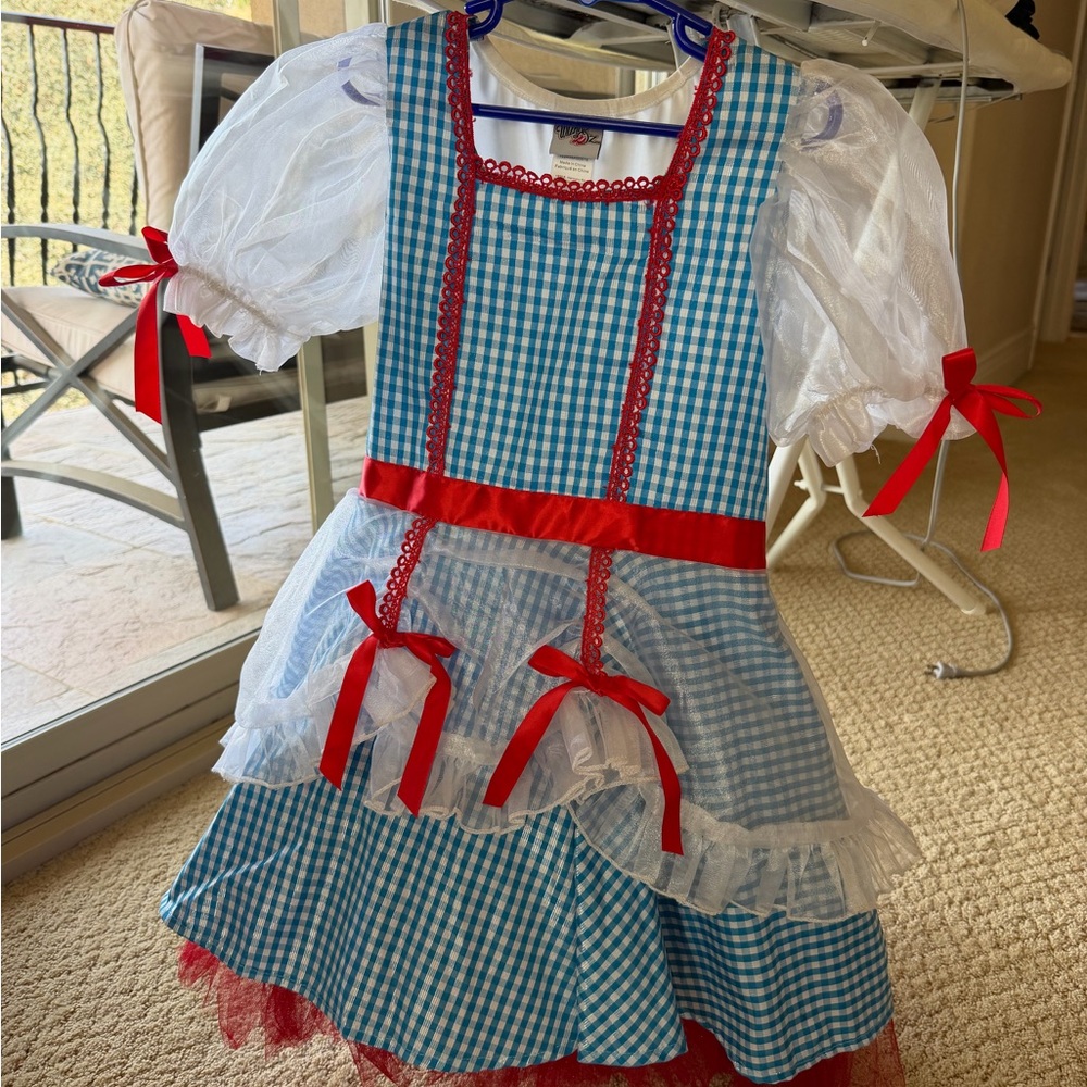 Girls Blue Gingham Farmgirl Halloween Costume Dress with Red Trim